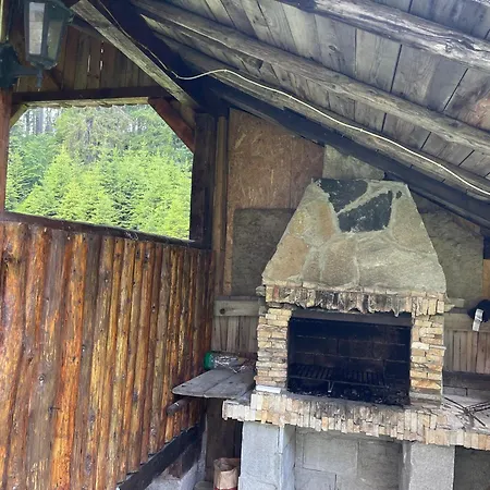 The Castle Mountain Apartment Pamporovo