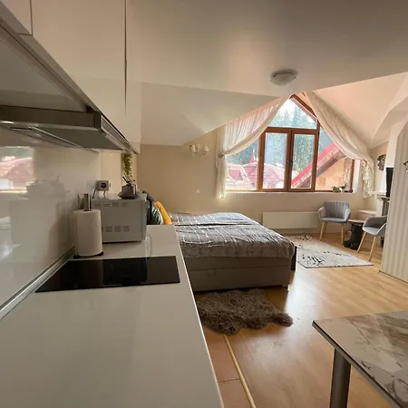 The Castle Mountain Pamporovo