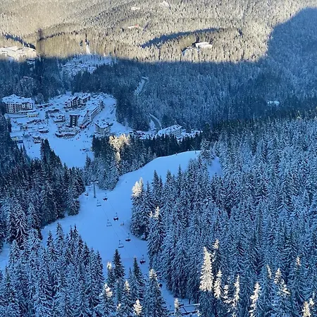 The Castle Mountain Apartament