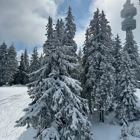 The Castle Mountain Pamporovo