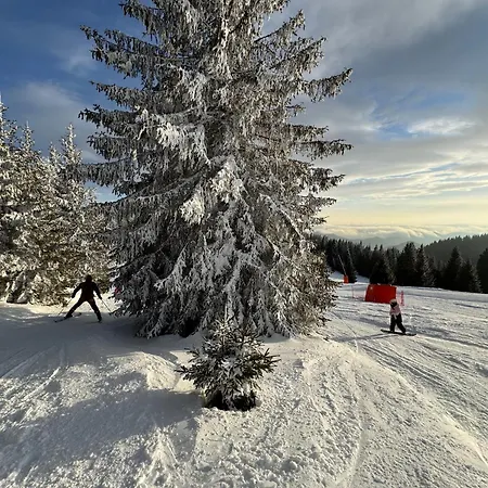 Apartament The Castle Mountain *