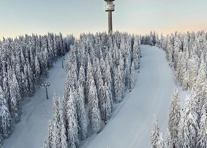 The Castle Mountain *